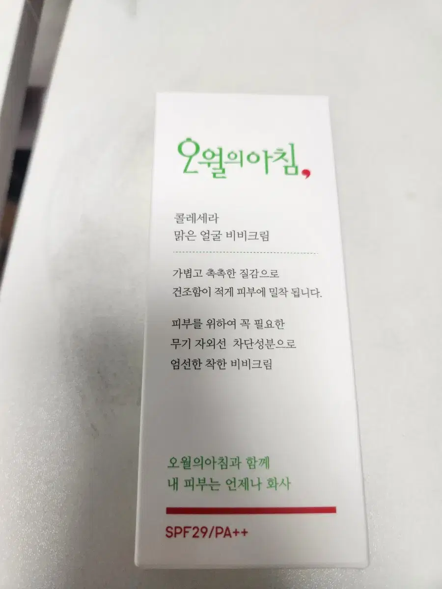 오월의 아침 비비크림